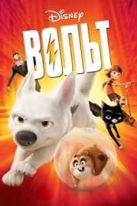 B0лbτ